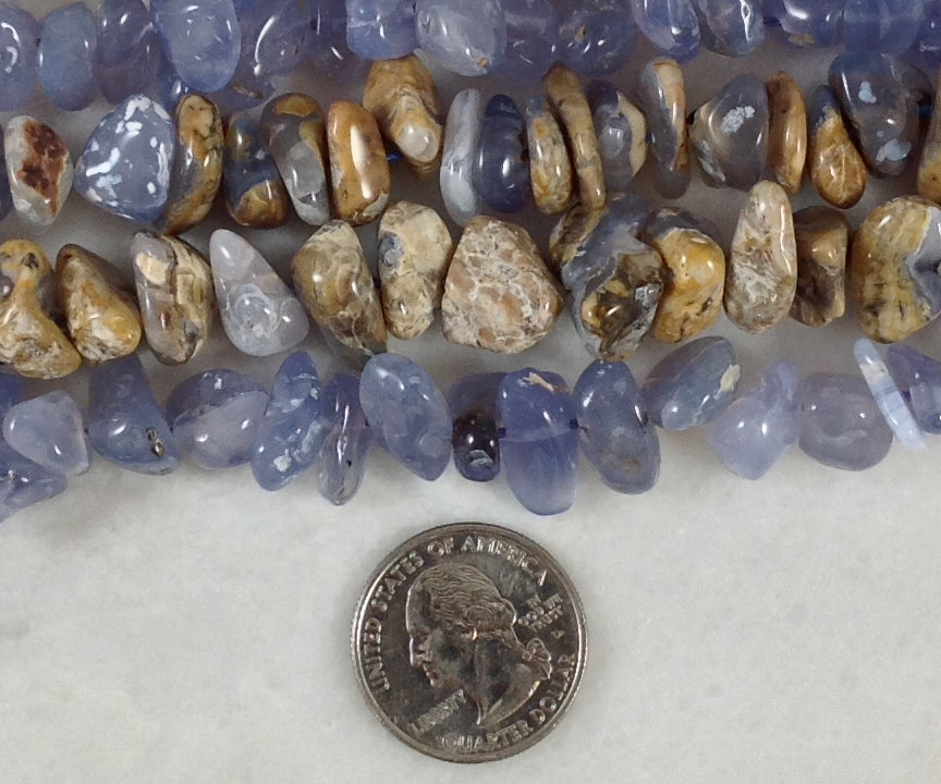 Skin On Blue Chalcedony Tumble Chips